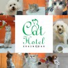 Логотип  Cat Hotel Krasnodar