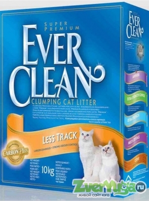  Ever Clean Less Track      (Ever Clean)