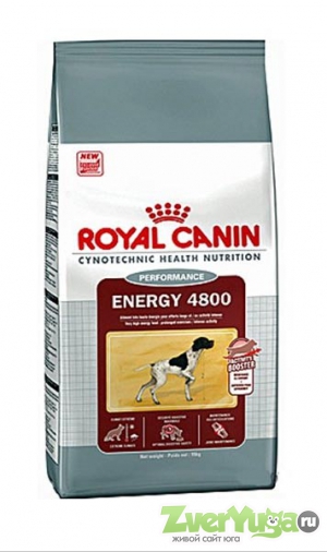  Royal Canin Energy 4800    4800 (Royal Canin)