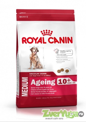  Royal Canin Medium Ageing 10+     10+ (Royal Canin)
