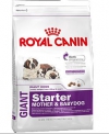 Royal Canin Giant Starter    , Royal Canin