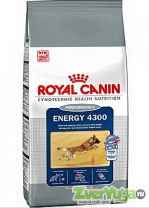  Royal Canin Energy 4300    4300 (Royal Canin)