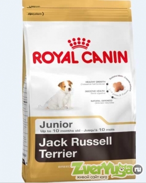  Royal Canin Jack Russell Terrier Junior      (Royal Canin)