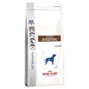Royal Canin Gastro Intestinal GI 25     25, Royal Canin
