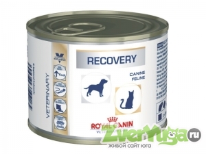  Royal Canin Recovery Canine/Feline    / (Royal Canin)