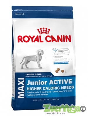  Royal Canin Maxi Junior Active      (Royal Canin)