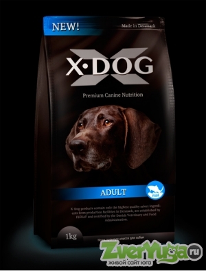  X-DOG Adult with fish -      (X-Dog)