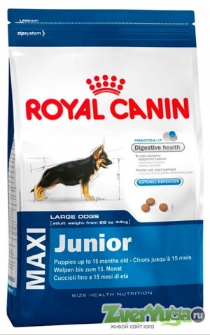  Royal Canin Maxi Junior     (Royal Canin)
