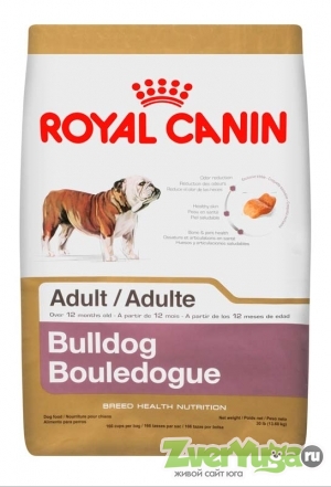  Royal Canin Bulldog 24 Adult    24  (Royal Canin)