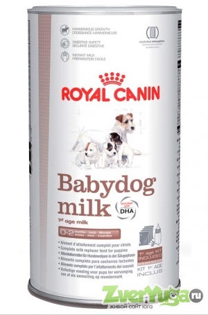  Royal Canin Babydog Milk    