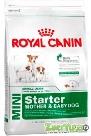  Royal Canin Mini Starter     (Royal Canin)