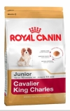 Royal Canin Cavalier King Charles 27      27, Royal Canin