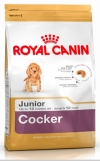 Royal Canin Cocker Junior    , Royal Canin