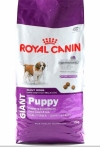 Royal Canin Giant Puppy    , Royal Canin