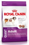 Royal Canin Giant Adult    , Royal Canin