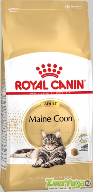  Royal Canin Maine Coon 31     (Royal Canin)