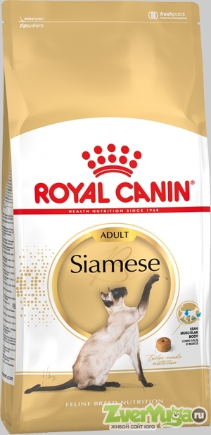  Royal Canin Siamese 38    (Royal Canin)