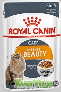  Royal Canin Intense Beauty    ,  (Royal Canin)