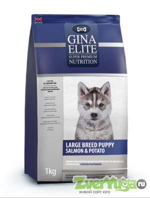  Gina Elite Large Breed Puppy Salmon & Potato        (Gina)