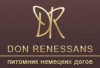 Логотип питомника Don Renessans - питомник немецких догов