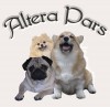 Логотип питомника Altera Pars / Альтера Парс