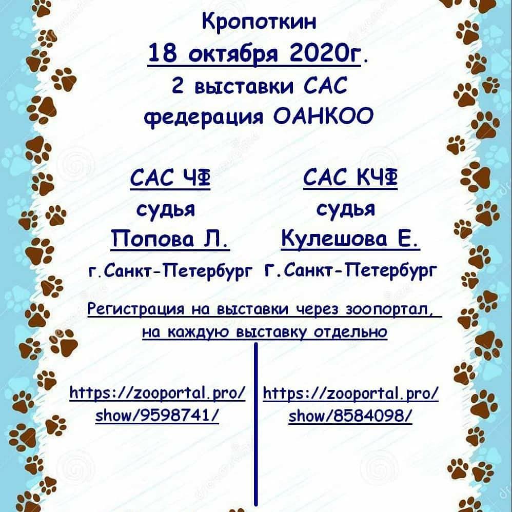 Две выставки собак ранга САС (Кропоткин)