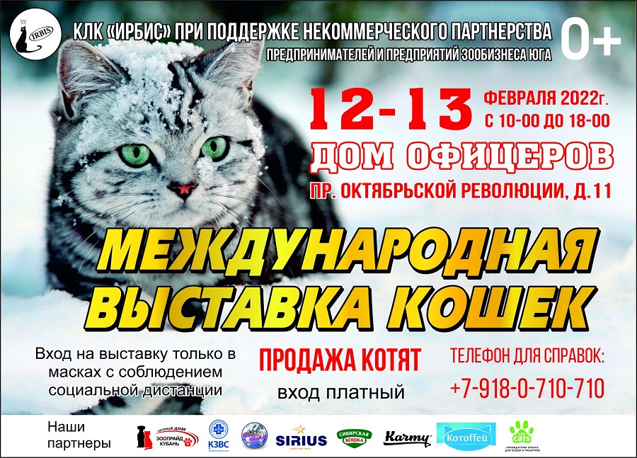 Международная выставка кошек WCF (Ставрополь)
