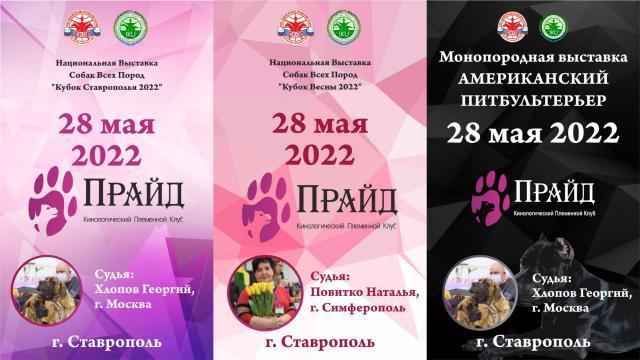 Выставки собак 2 САС и монопородная выставка \"АМЕРИКАНСКИЙ ПИТБУЛЬТЕРЬЕР\" (Ставрополь)