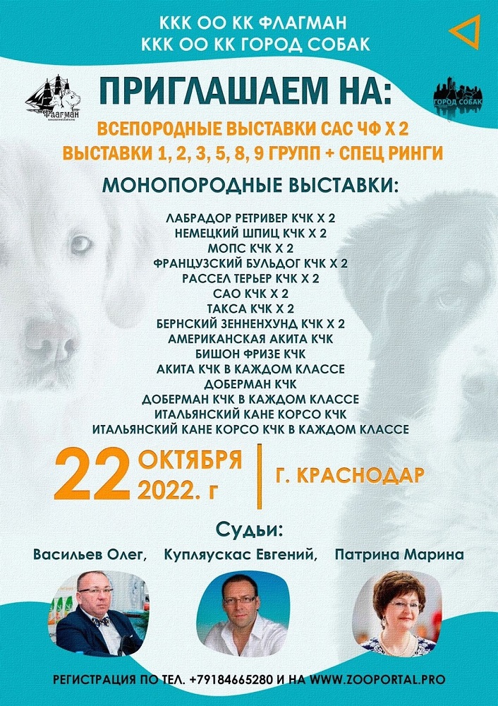 Выставка собак всех пород ранга САС ЧФ (Краснодар)