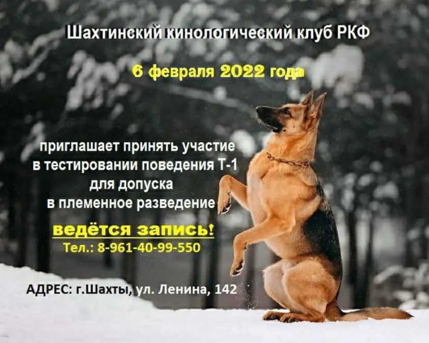 Выставка собак САС ЧФ + МОНО (Краснодар)