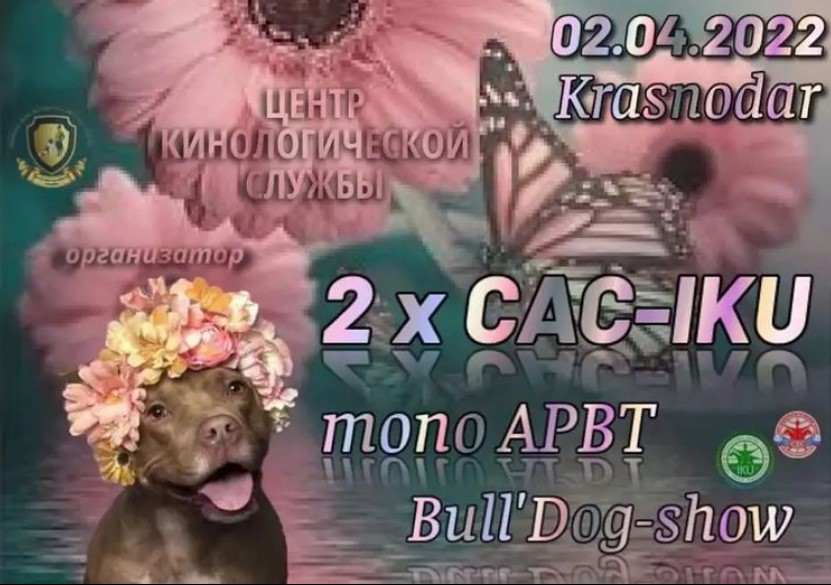 Выставка собак \"Весенний Екатеринодар\" (Краснодар)