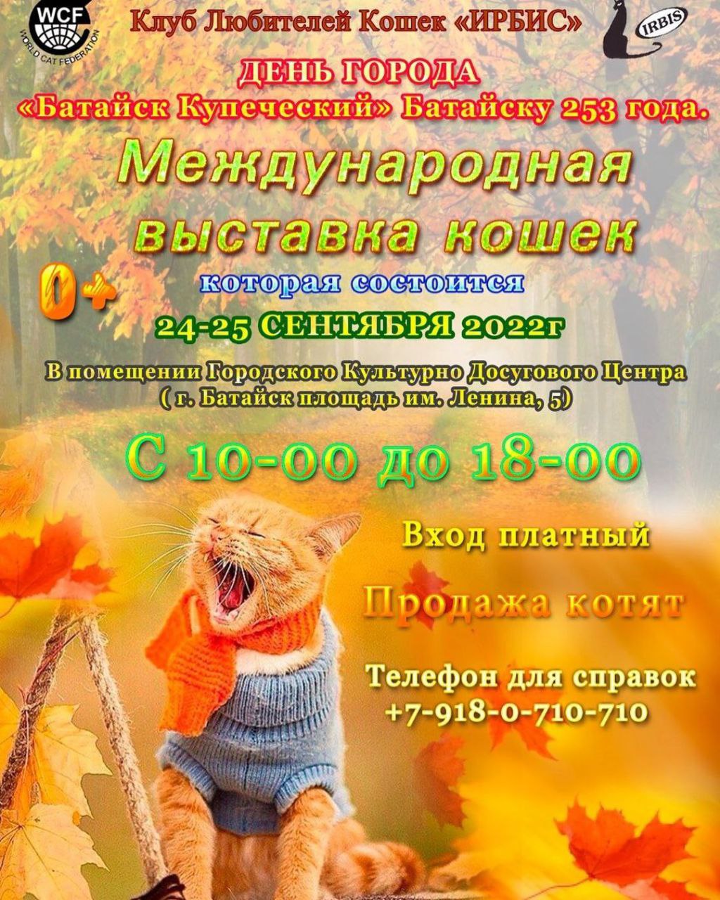 Международная выставка кошек (Батайск)