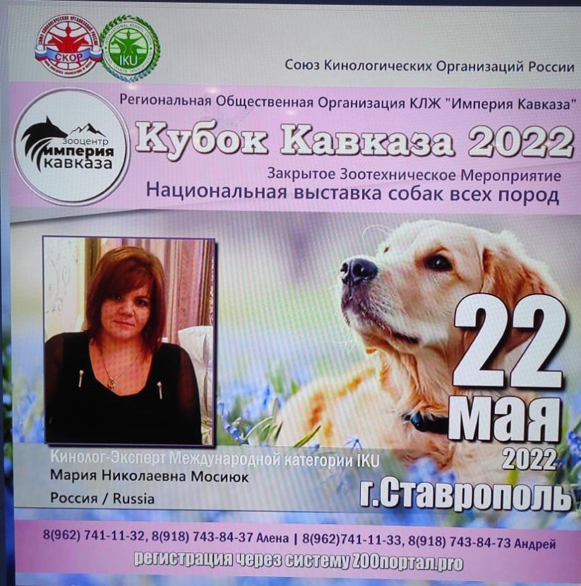 Выставка собак \"Кубок Кавказа 2022\" (Ставрополь)