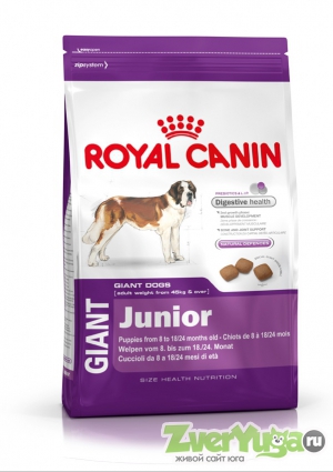  Royal Canin Giant Junior     (Royal Canin)
