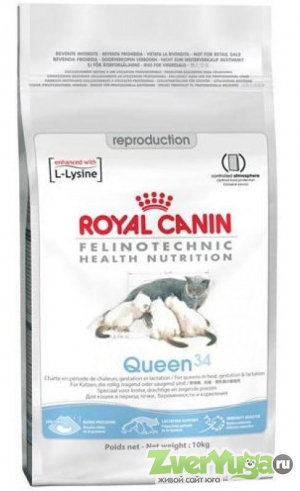  Royal Canin Queen 34    (Royal Canin)