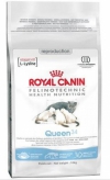 Royal Canin Queen 34 Роял Канин Квин, Royal Canin