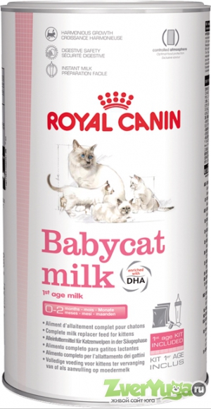 Купить Royal Canin Babycat Milk Роял Канин Бебикэт Милк (Royal Canin)
