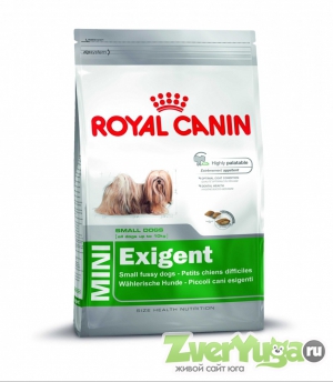  Royal Canin Mini Exigent     (Royal Canin)