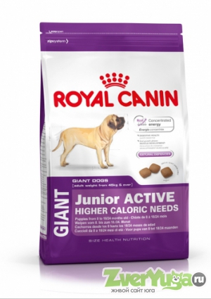 Купить Royal Canin Giant Junior Active Роял Канин Джайнт Юниор Актив (Royal Canin)