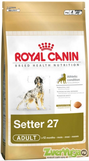  Royal Canin Setter 27    27 (Royal Canin)