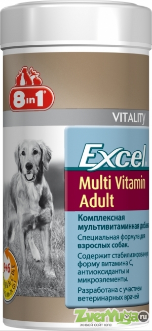  8 in 1 Excel Multi Vitamin Adult     (8in1)