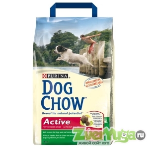  Dog Chow Active       (Dog Chow)