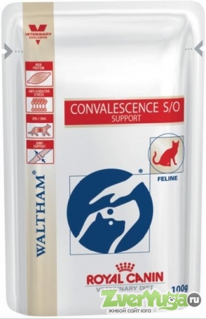  Royal Canin Convalescence Support S/    / (Royal Canin)