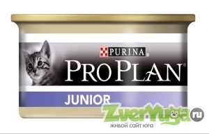  Pro Plan junior      ,  (Pro Plan)