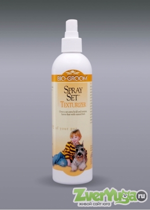 Купить Bio-Groom Spray Set спрей закрепляющий (Bio-Groom (Био-Грум))