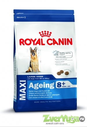  Royal Canin Maxi Ageing 8+     8+ (Royal Canin)