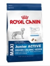 Royal Canin Maxi Junior Active Роял Канин Макси Юниор Актив, Royal Canin