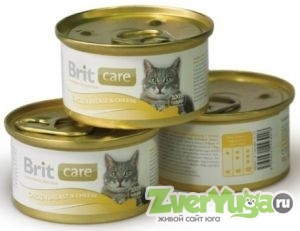 Купить Brit (Брит) влажный корм для взрослых кошек с курицей и сыром, банка (Brit)