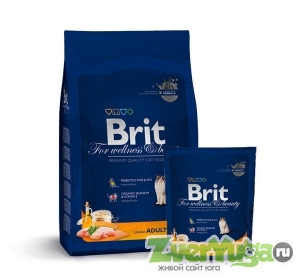 Купить Brit (Брит) премиум сухой корм для взрослых кошек с курицей (Brit)