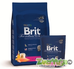 Купить Brit (Брит) премиум сухой корм для взрослых кошек с лососем (Brit)